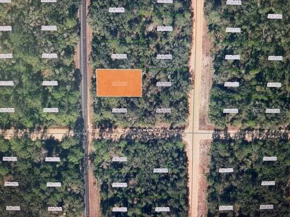 Xx Theresa Ave Lot 17, Interlachen, FL 32148
