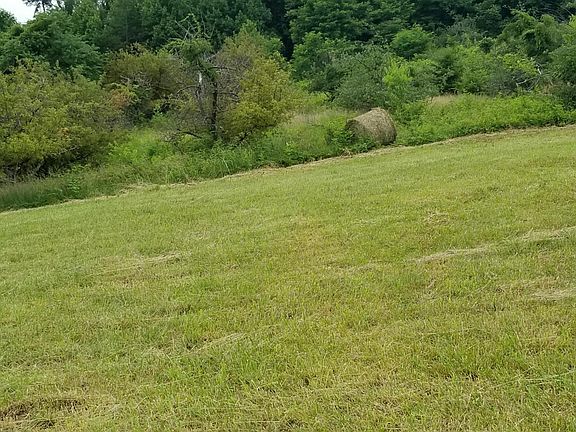 5th image of Tract 2 Cahas Orchard Ln