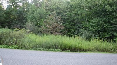 1st image of Whispering Ln