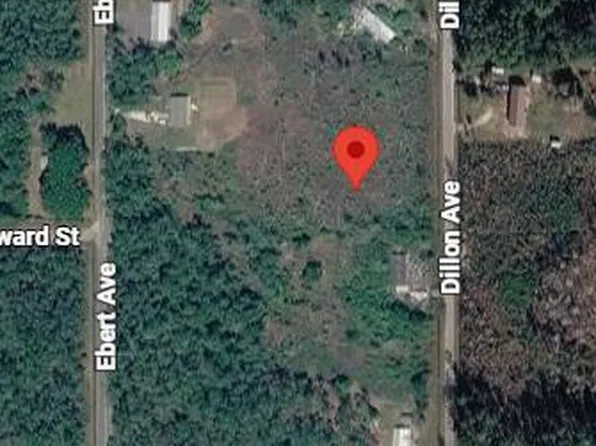 10635 DILLON Avenue, Hastings, FL 32145