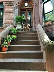 Rented by L.Nelson & Associates