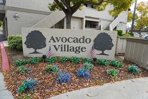 3650 Avocado Village Ct #63 Photo 1