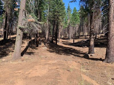 112 Lake Almanor West Dr, Chester, CA, 96020