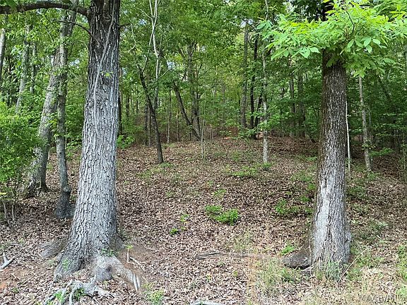 4th image of 148 Jasmine Ridge Rd