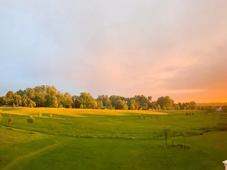 View in Summer