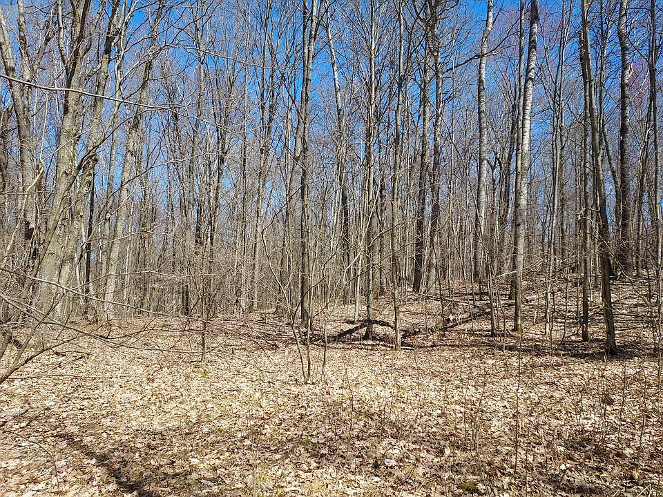 2nd image of Hardwood