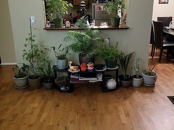 5th image of 4500 Beau Monde Dr APT 103
