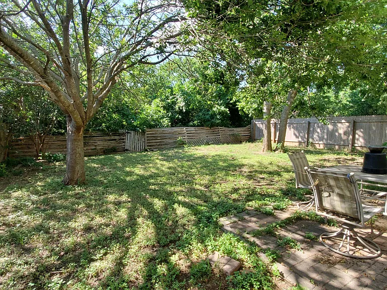 Backyard