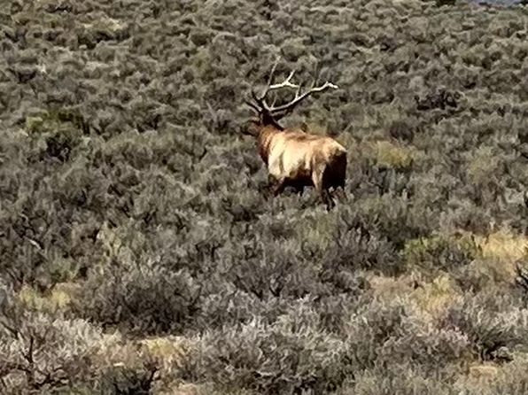 Highway 40, Maybell, CO 81640