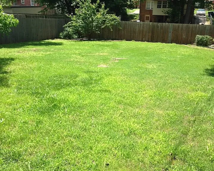 1516 S Atlanta Ave — Photo 10