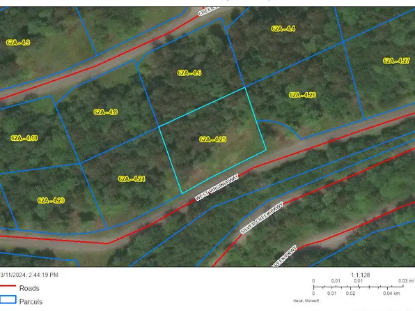 25 W Virginia Way, Snowshoe, WV 26209