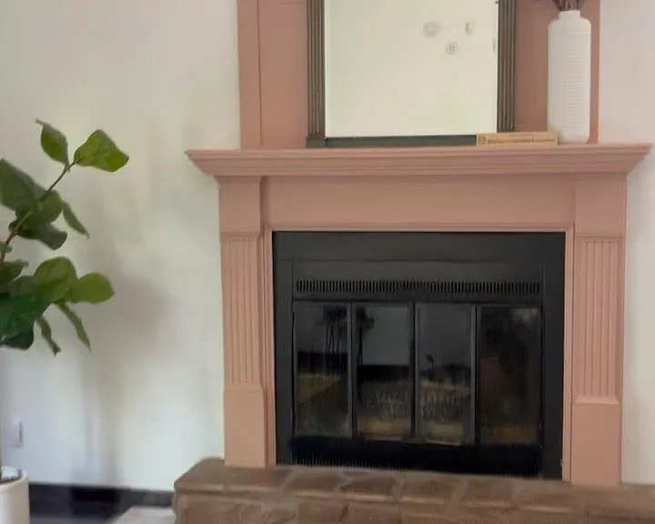 wood burning fireplace