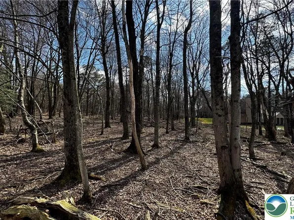 1010 Stony Mountain Rd, Albrightsville, PA 18210
