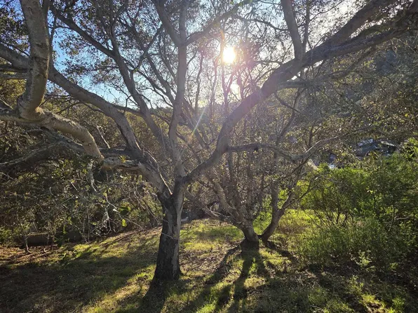 0 Longfellow Dr, Belmont, CA 94002