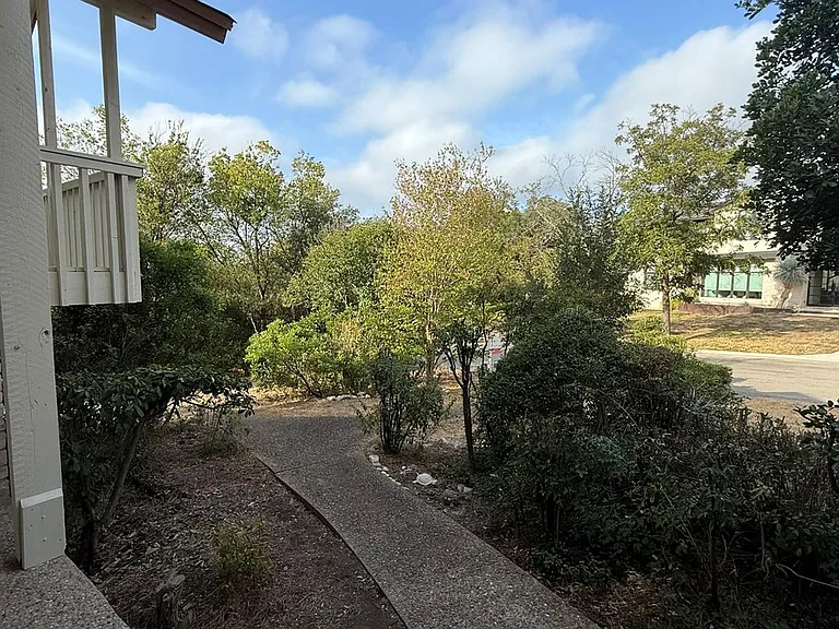 203 Blue Ridge Trl — Photo 19