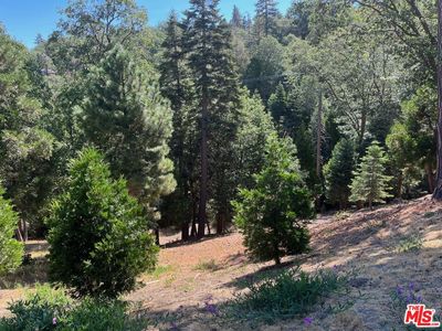 197 Mill Pond Rd, Lake Arrowhead, CA, 92352