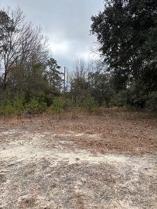 116 Nandina Dr, Sumter, SC, 29153