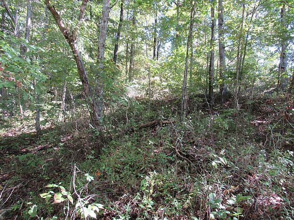 3rd image of 1380 Old Deer Lodge Pike