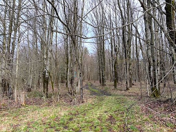 3rd image of 1700 28th Creek Rd
