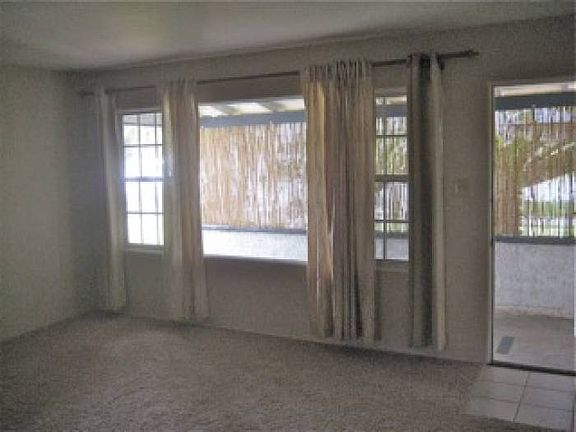 Lots of windows