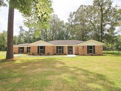 303 Pinemont Dr, Sour Lake, TX, 77659