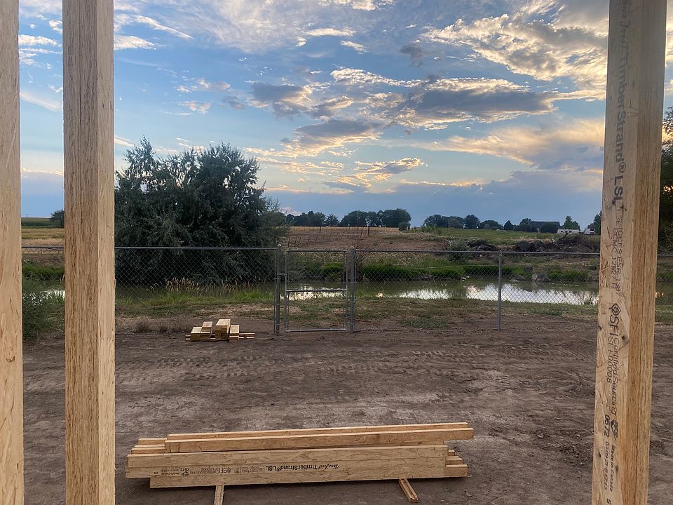 View from the back window