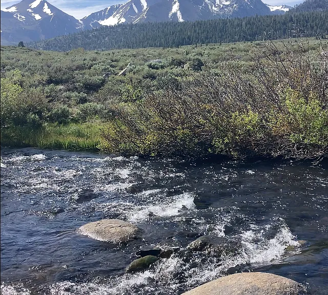 Just 10 minute walk to Mammoth Creek