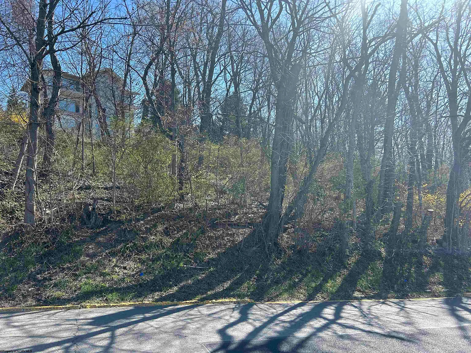 Jones Ave photo 1