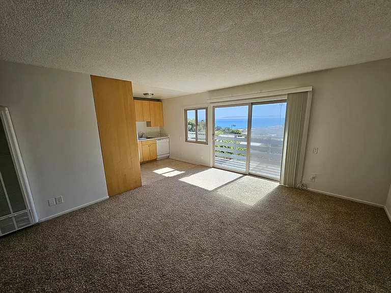 2161 Lillie Ave #4 — Photo 3