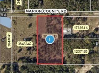 3834 Marion County Rd, Weirsdale, FL 32195