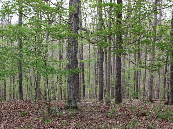 80 Lisanby Rd, Eddyville, KY 42038