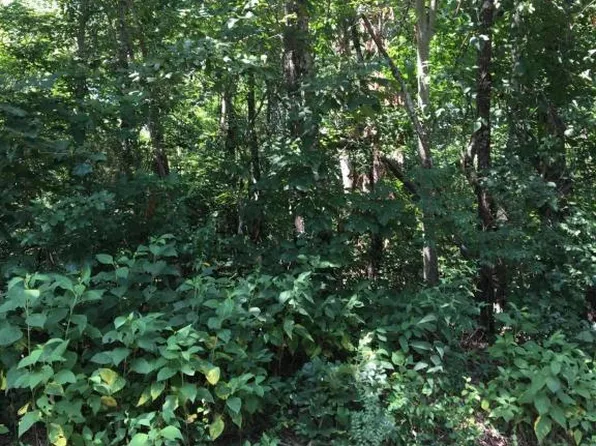 223 Oostanali Way, Tellico Plns, TN 37774