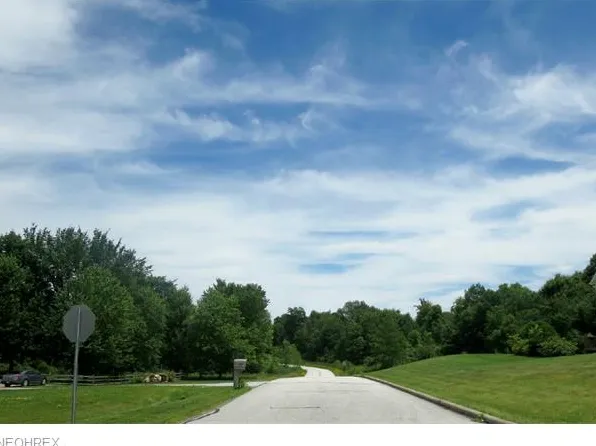 Dawson Dr, Chagrin Falls, OH 44023