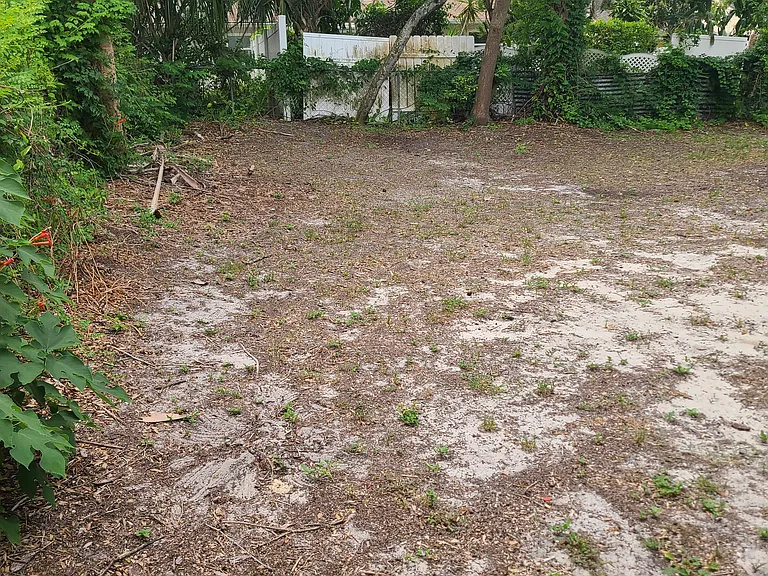 backyard