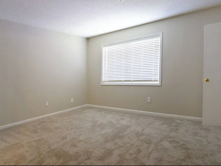 Pineview Apartments — Photo 13