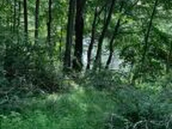 LOT 10 Blossom Rd, Lackawaxen, PA 18435