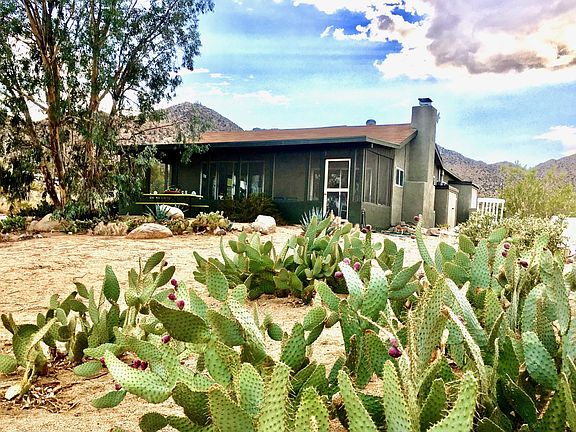 Mature native plants all over the 5 acres