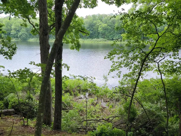 5133 N Waite Dr, Irons, MI 49644