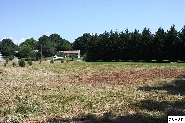 2nd image of 137 Sunflower Loop