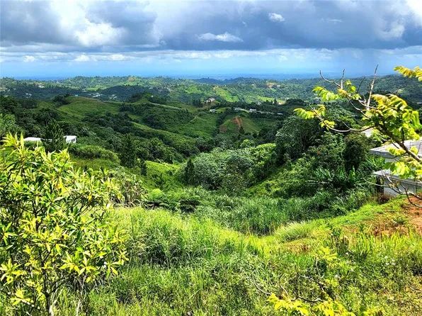 State Highway 773, Barranquitas, PR 00794