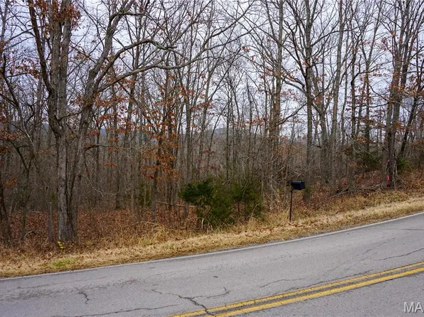 TRACT State Route D #B, Dixon, MO 65459