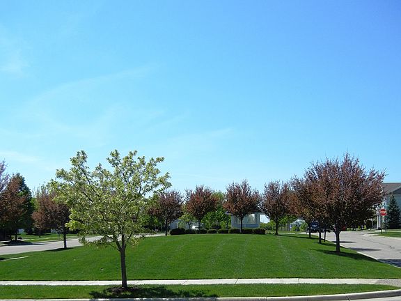 Pretty front boulevard views