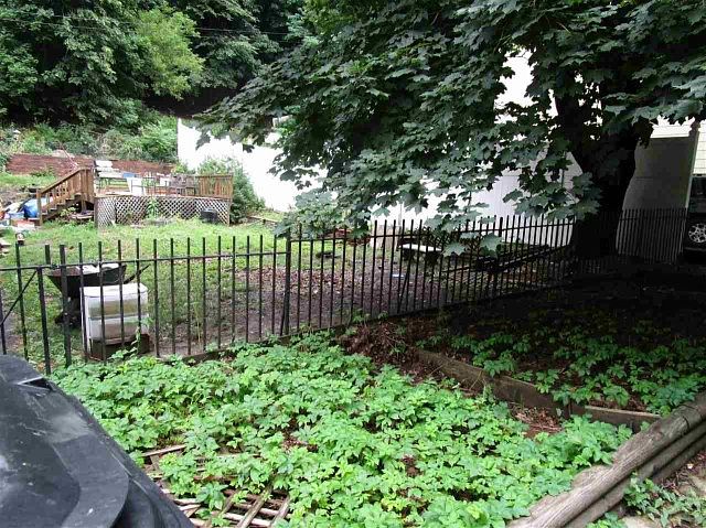 2nd image of 63 Spring Ave