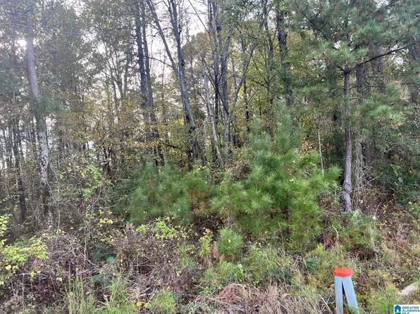 Jones Rd #2, Alpine, AL 35014