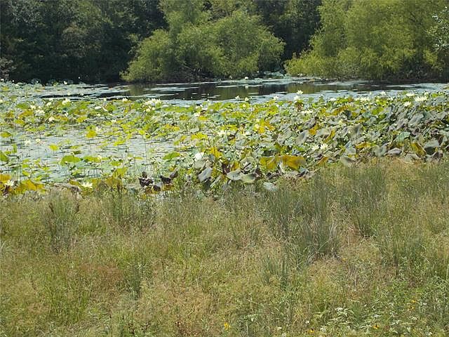 1st image of 17373 County Road 4065
