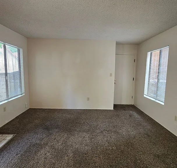 4147 Pinewood Lake Dr — Photo 6