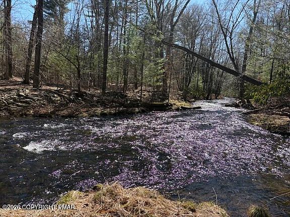 4th image of 206 Cranberry Creek Rd