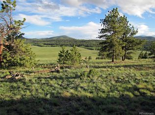 359 Wagon Wheel Rd, Hartsel, CO 80449