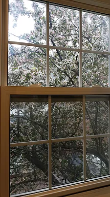 Rented by Owner | media 24