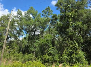 3669 E Baxley Pl, Inverness, FL 34453